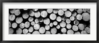 Marked Wood In A Timber Industry, Black Forest, Germany BW Fine Art Print