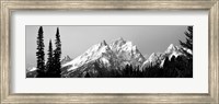 Cathedral Group Grand Teton National Park WY Fine Art Print