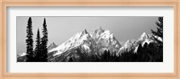 Cathedral Group Grand Teton National Park WY Fine Art Print