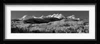 Colorado, Rocky Mountains, aspens, autumn Fine Art Print