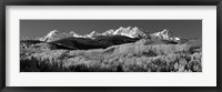Colorado, Rocky Mountains, aspens, autumn Framed Print