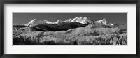 Colorado, Rocky Mountains, aspens, autumn Fine Art Print