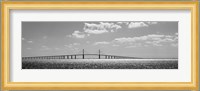 Bridge across a bay, Sunshine Skyway Bridge, Tampa Bay, Florida Fine Art Print