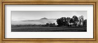 Fog over mountain, Cades Cove, Great Smoky Mountains National Park, Tennessee Fine Art Print