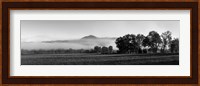 Fog over mountain, Cades Cove, Great Smoky Mountains National Park, Tennessee Fine Art Print