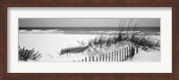 Fence on the beach, Alabama, Gulf of Mexico Fine Art Print