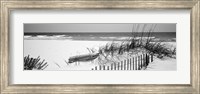 Fence on the beach, Alabama, Gulf of Mexico Fine Art Print
