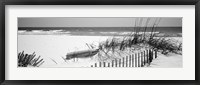 Fence on the beach, Alabama, Gulf of Mexico Framed Print