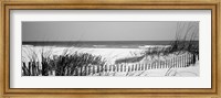Fence on the beach, Bon Secour National Wildlife Refuge, Bon Secour, Alabama Fine Art Print