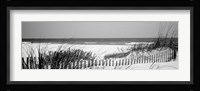 Fence on the beach, Bon Secour National Wildlife Refuge, Bon Secour, Alabama Fine Art Print