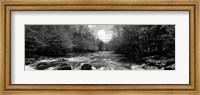 Little Pigeon River, Great Smoky Mountains National Park, Tennessee Fine Art Print