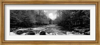 Little Pigeon River, Great Smoky Mountains National Park, Tennessee Fine Art Print