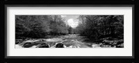 Little Pigeon River, Great Smoky Mountains National Park, Tennessee Fine Art Print