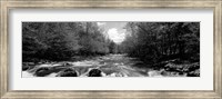 Little Pigeon River, Great Smoky Mountains National Park, Tennessee Fine Art Print