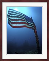 American Flag on a Sunken Ship in Key Largo, Florida Fine Art Print