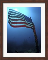 American Flag on a Sunken Ship in Key Largo, Florida Fine Art Print
