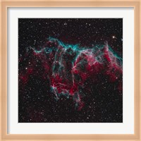 NGC 6995, the Bat Nebula Fine Art Print