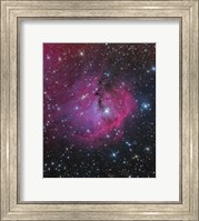 VDB 93 is an emission and reflection Nebula in Canis Major Fine Art Print