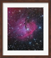 VDB 93 is an emission and reflection Nebula in Canis Major Fine Art Print