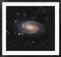 Messier 81 spiral galaxy in the Constellation Ursa Major Fine Art Print