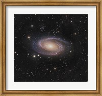 Messier 81 spiral galaxy in the Constellation Ursa Major Fine Art Print