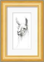 Bianca Pencil Fine Art Print