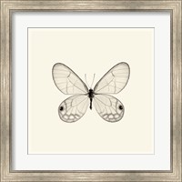 Butterfly I Fine Art Print