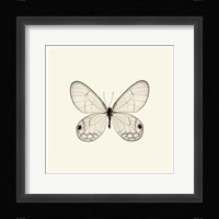 Butterfly I Fine Art Print
