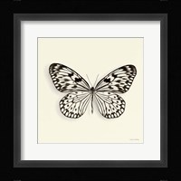 Butterfly V Fine Art Print