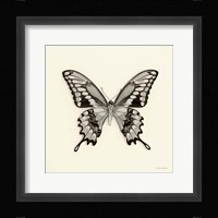 Butterfly VI Fine Art Print