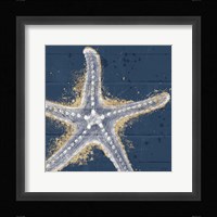 Calm Seas XI Framed Print