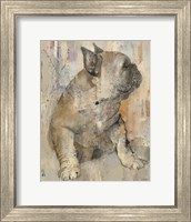 Duke Fine Art Print