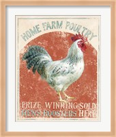 Farm Nostalgia IV Fine Art Print