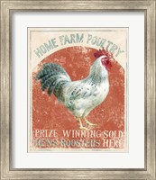 Farm Nostalgia IV Fine Art Print