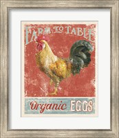 Farm Nostalgia V Fine Art Print