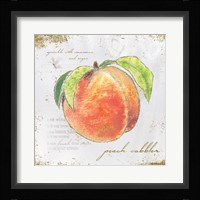 Garden Treasures II Framed Print