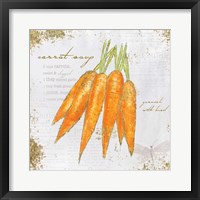 Garden Treasures VIII Framed Print