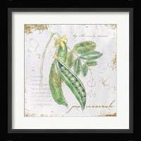 Garden Treasures X Framed Print
