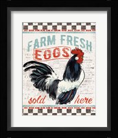 Morning News III Framed Print