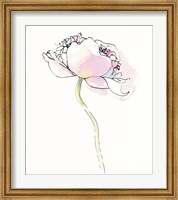 Single Pink Somniferums I on White Fine Art Print
