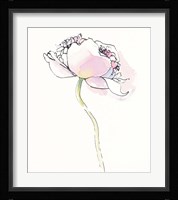 Single Pink Somniferums I on White Framed Print