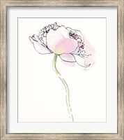 Single Pink Somniferums I on White Fine Art Print