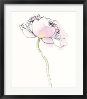 Single Pink Somniferums I on White Framed Print