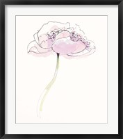 Single Pink Somniferums II on White Framed Print