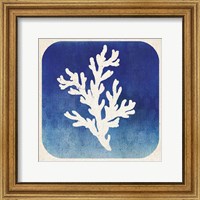 Watermark Coral Fine Art Print
