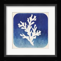 Watermark Coral Framed Print