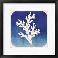 Watermark Coral Framed Print