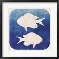 Watermark Fish Fine Art Print