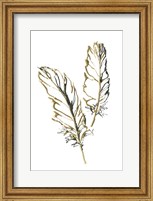 Gilded Barn Owl Feather Fine Art Print