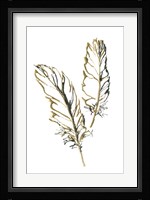 Gilded Barn Owl Feather Fine Art Print